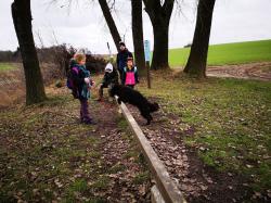  :20190106_stagechien13.jpg