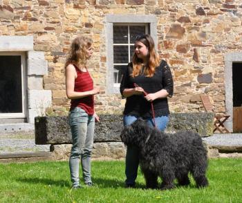 20190108_formation_courte_en_zootherapie_avec_chien.jpg